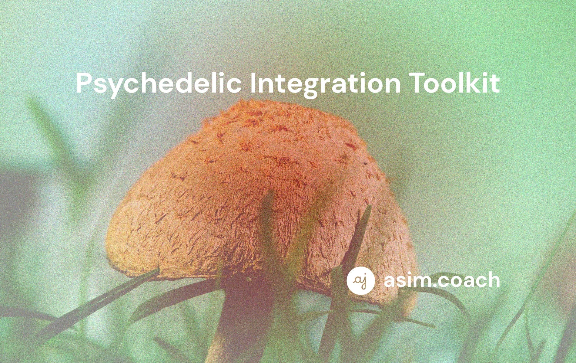 Psychedelic Integration – Free Toolkit