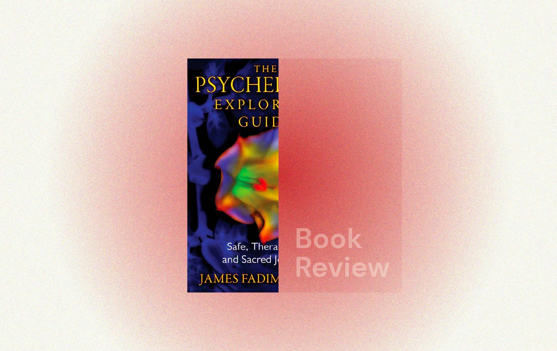 The Psychedelic Explorer's Guide by James Fadiman