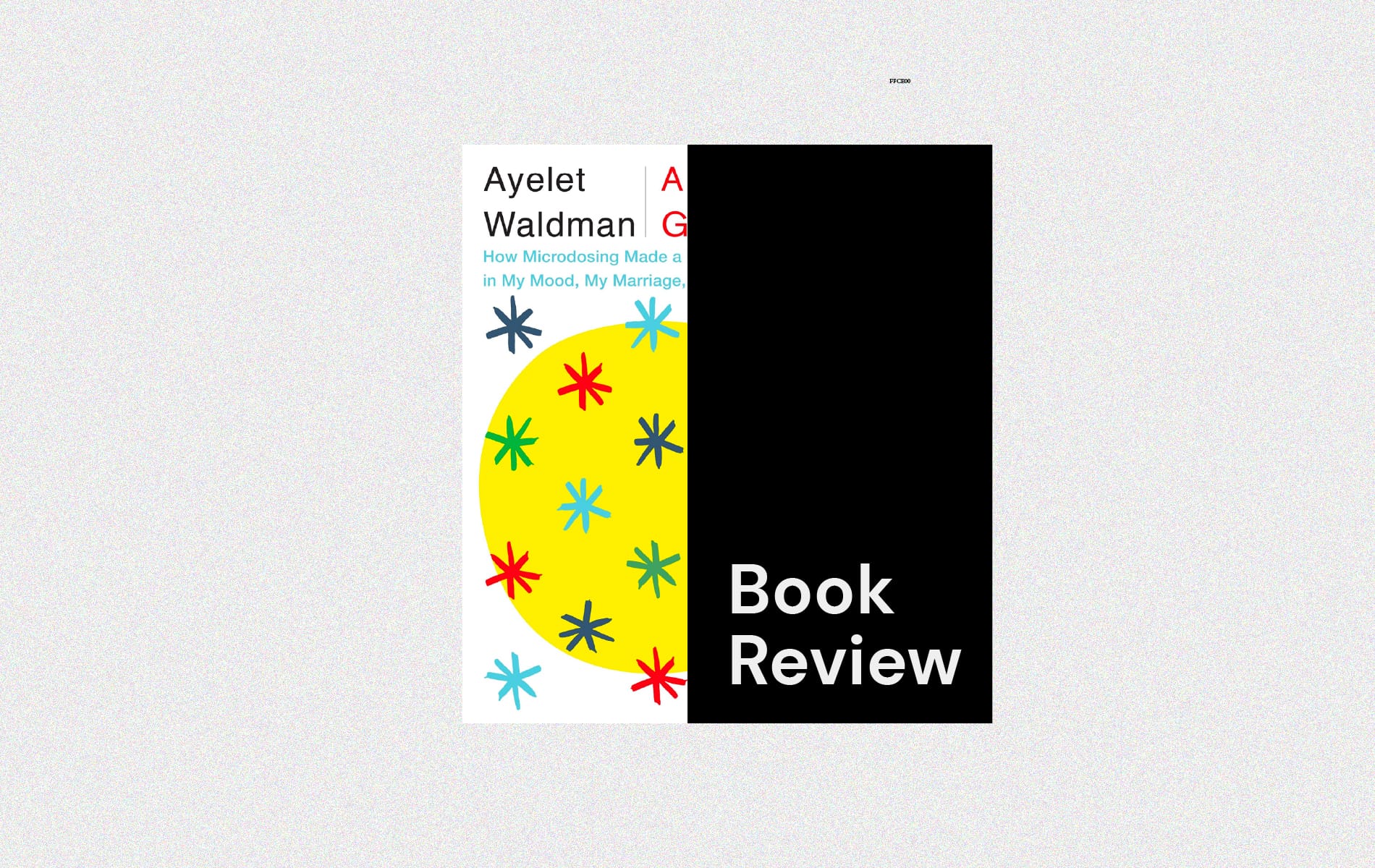 A Really Good Day by Ayelet Waldman