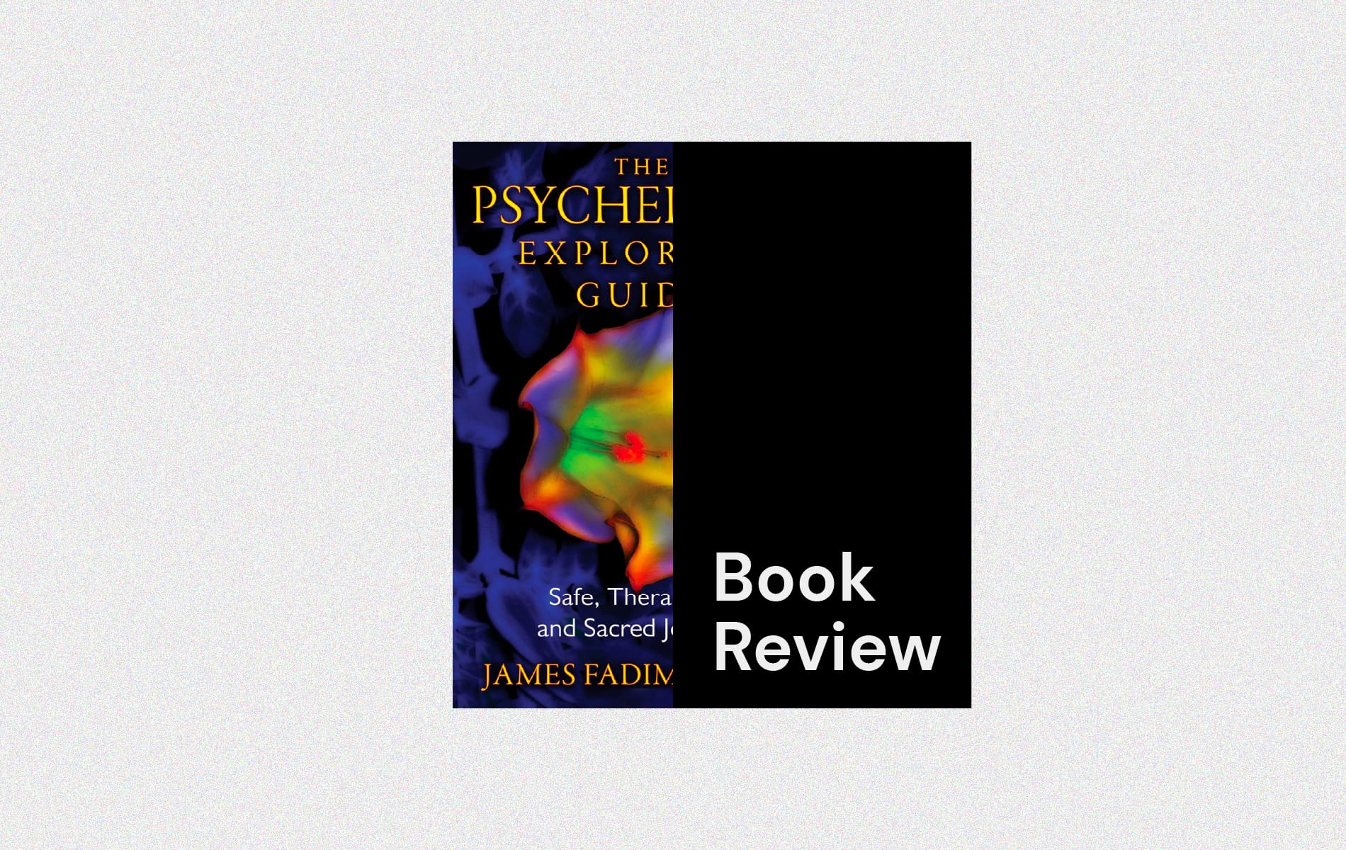 The Psychedelic Explorer's Guide by James Fadiman